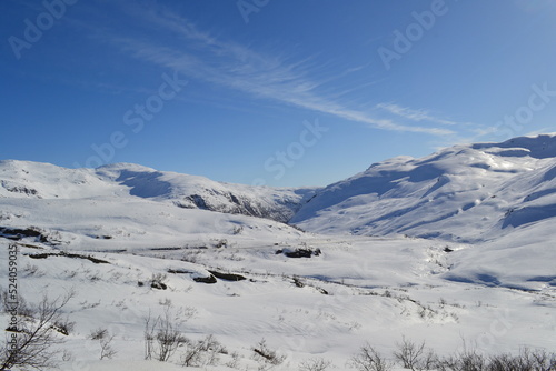 snow covered mountains