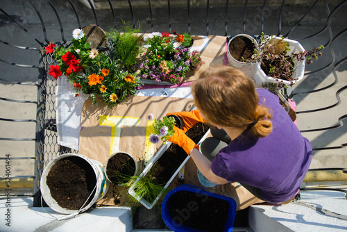 A woman in yellow protective gloves is planting houseplants on a balcony
