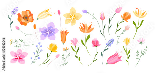 Vector floral illustration. Set of leaves, wildflowers, twigs, floral arrangements. Beautiful compositions of field grass and bright spring flowers. © MySunShine