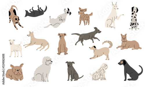 Dog funny sketch. Cute hand drawn adorable puppies, line dog characters playing sitting jumping, colorful pet animals. Vector isolated collection