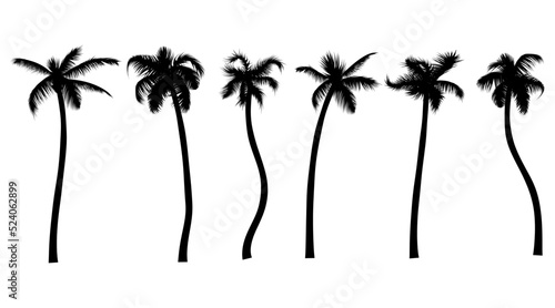Palm tree black silhouette realistic set. Tropic leaves jungle plants collection vector illustration. Summer tropical trees isolated on white. For your design of flayer  party poster  vacation banner.