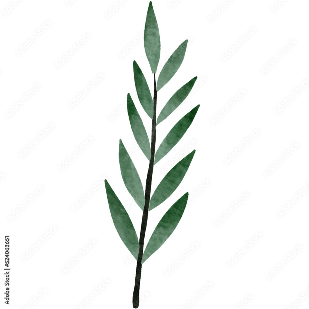 leaves isolated on white background leaves isolated on white background