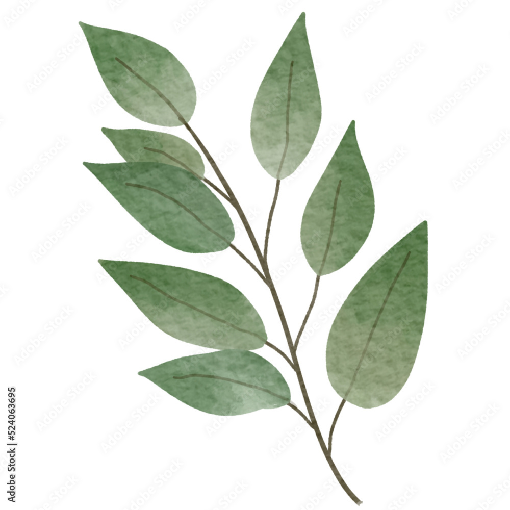 green leaves isolated on white background green leaves isolated on white background