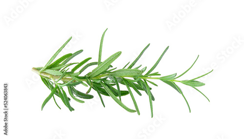 Rosemary on transparent png © sommai