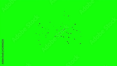 3d Animation Of Swarm Of Flying Flies On Green Screen Background. A Lot Of Mosquitoes, Flies, Bees, Insects. For Compositing Over Your Footage. Seamless Loop Animation. photo