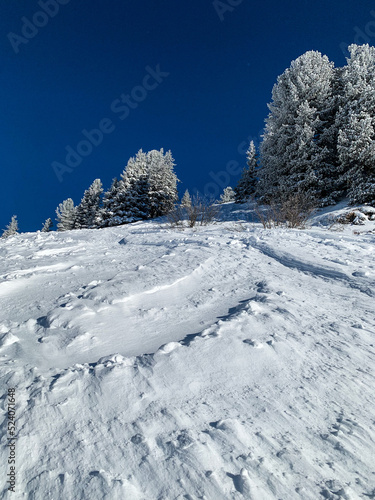 Wallpaper Mural snow covered mountain trees, snowy landscape Torontodigital.ca