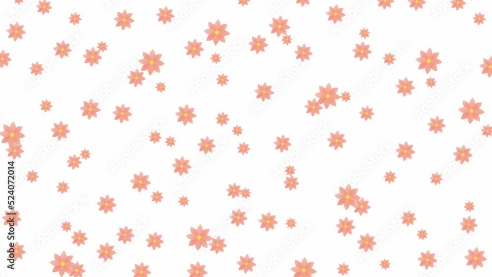 Animated pink flowers fly from top to bottom. Looped video. Vector illustration isolated on the white background. Animated pink flowers fly from top to bottom. Looped video. Vector illustration isolated on the white background.