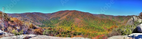 Trees - Bear Church Rock Trail, Shenandoah National Park, Virginia