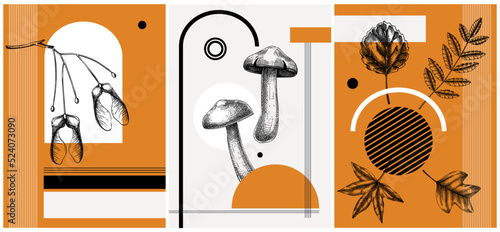 Collage style autumn vector illustration. Sketched leaves and dried flowers. Trendy fall design with botanical, geometric shapes, and abstract elements. For print, poster, card, social media