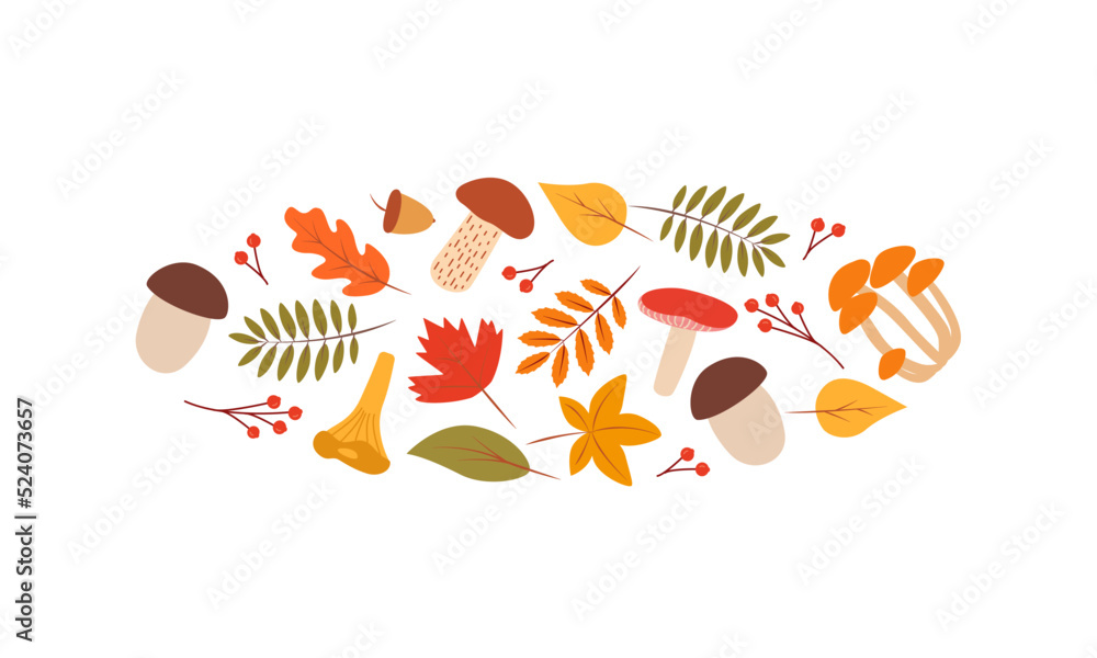Doodle fall color set of tree leaves and mushrooms, autumn concept, vector illustration. Doodle fall color set of tree leaves and mushrooms, autumn concept, vector illustration.
