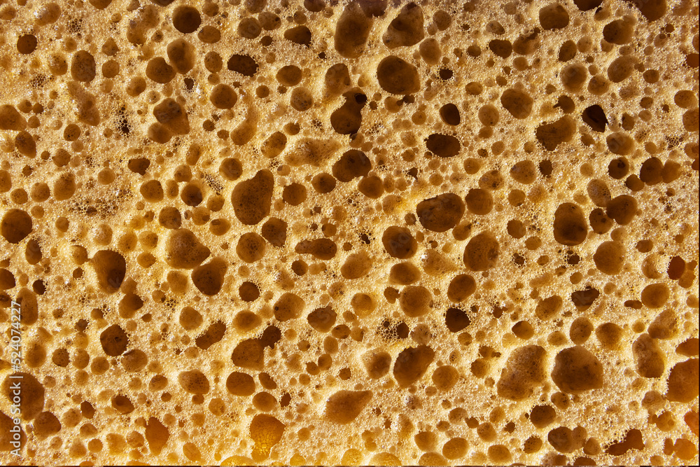 yellow texture with holes, there is a place for an inscription.Background for a splash screen sponge texture close-up yellow texture with holes, there is a place for an inscription.Background for a splash screen sponge texture close-up
