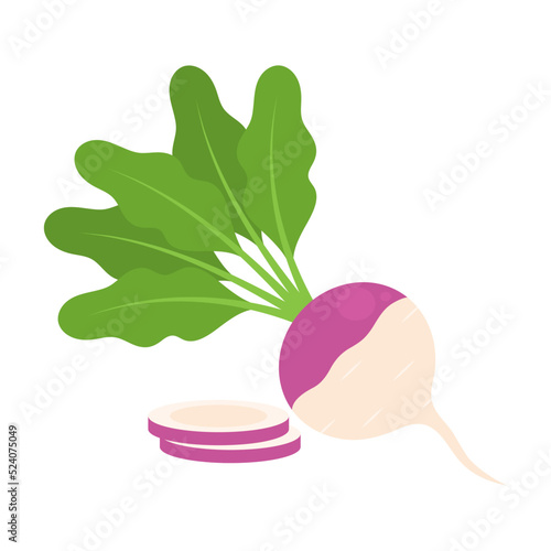 Whole turnip and slices isolated on white background. Brassica rapa. Vegetarian food. Vector root vegetables illustration in flat style.