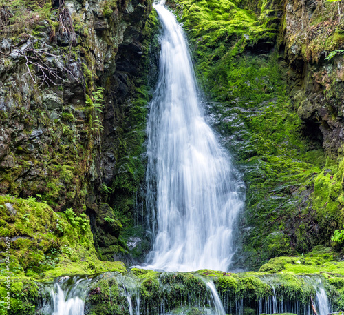 Fototapeta Naklejka Na Ścianę i Meble -  Waterfall between the Rocky Mountains and Jungle in Canada
