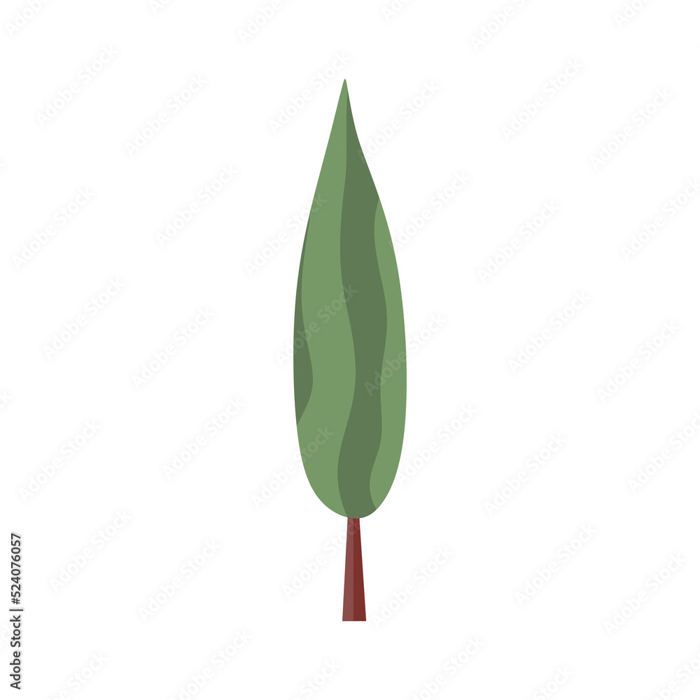 Obraz premium Poplar tree with long crown and trunk. Deciduous forest tall foliage plant. Green leaf cypress. Botanical flat cartoon vector illustration isolated on white background
