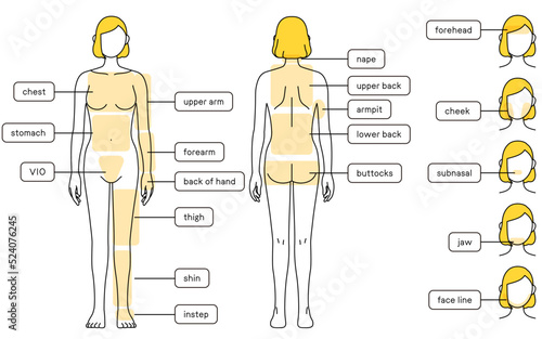 女性の脱毛イラスト　全身と顔