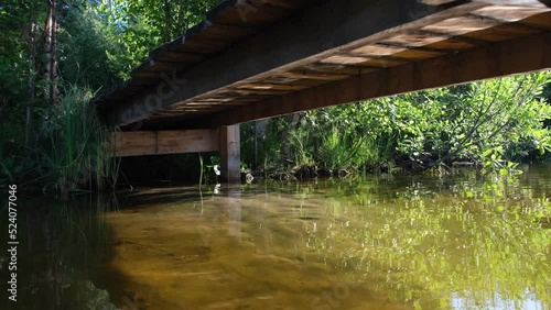 Natural landscape. A unique shooting under a wooden bridge on a forest lake. The sun's rays are reflected on the water, green grass and a wooden bridge.
