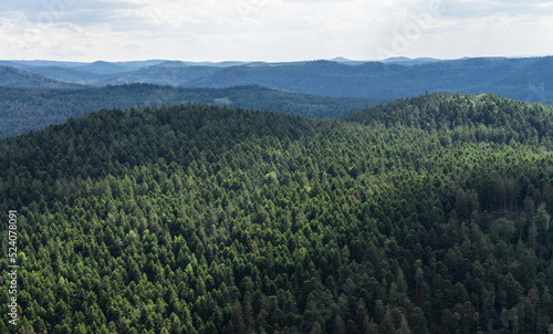 View over the Vosges seen from the rock 57850 Dabo