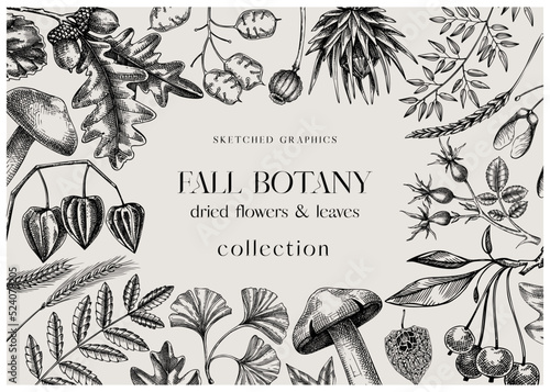 Autumn frame with fall leaves and dried flowers. Thanksgiving background. Fall card or invitation design. Sketched dried herbs, falling leaves, mushrooms, seeds frame. Vintage botanical  illustration