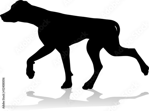 Dog Silhouette Pet Animal