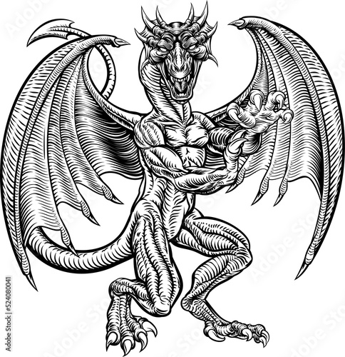 Dragon Drawing in Vintage W...