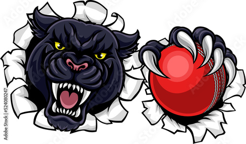 Black Panther Cricket Masco...