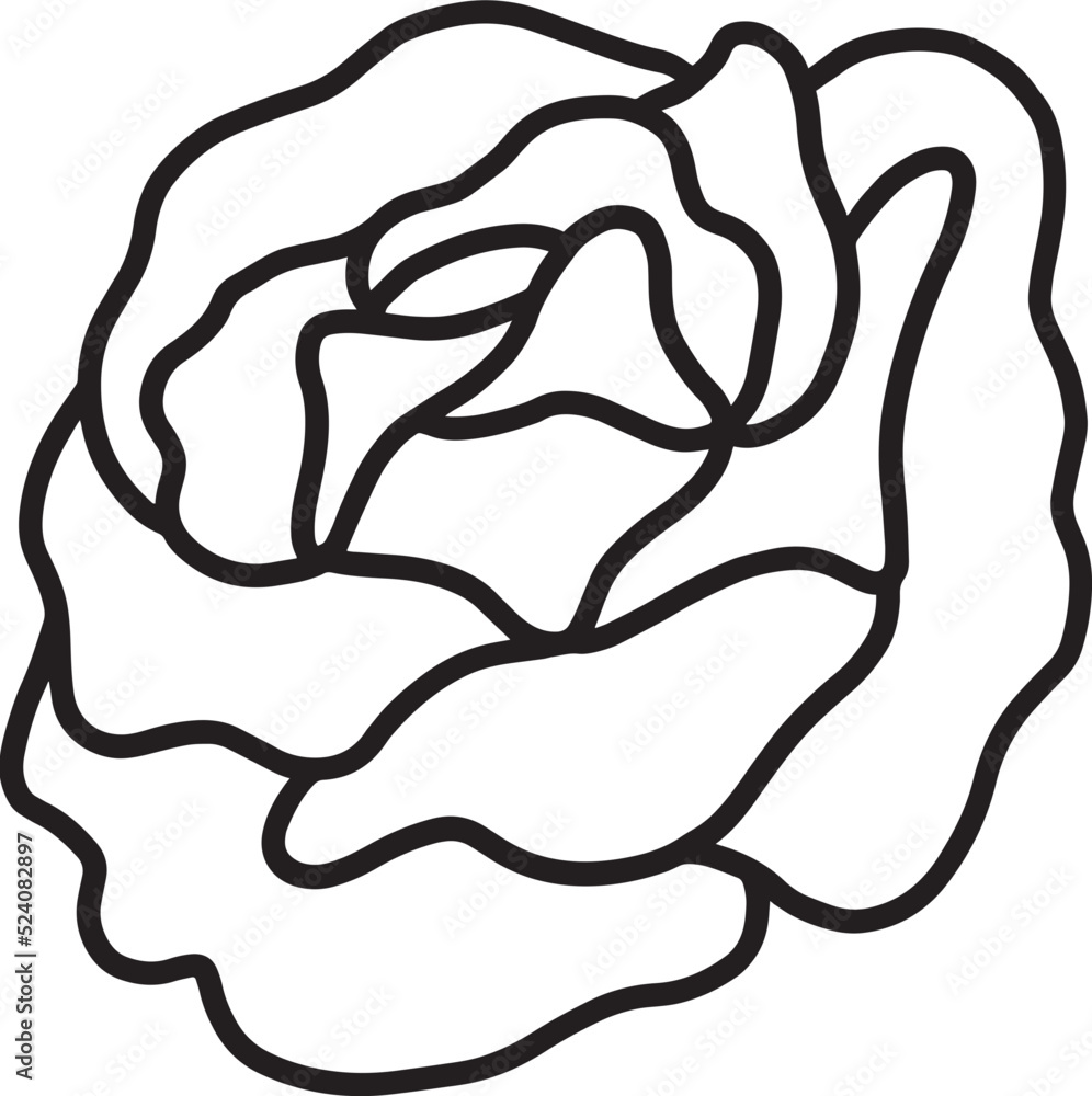 rose flower line drawing rose flower line drawing