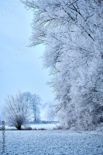 Winterlandschaft mit Bäumen