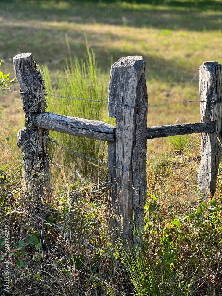 Fototapeta premium old wooden fence