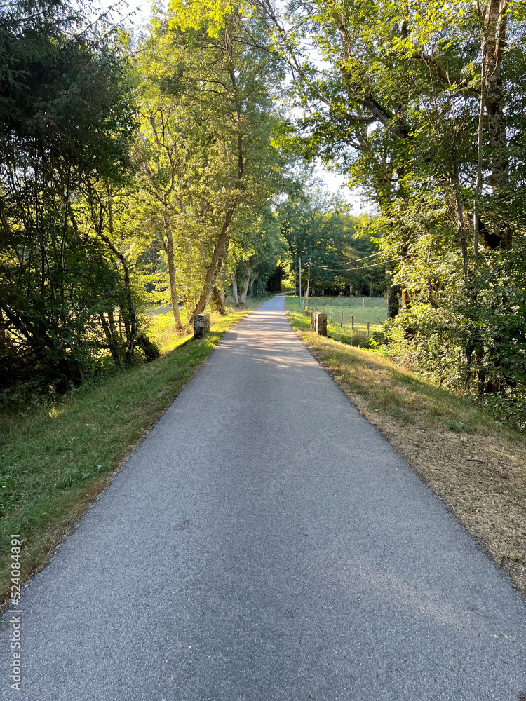 road in the park