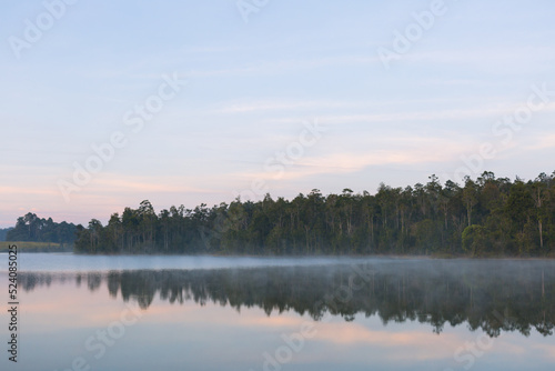 Fototapeta Naklejka Na Ścianę i Meble -  Beautiful nature and fog on the reservoir in Khao Yai National Park Thailand.Selective focus