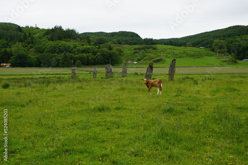 Ballymeanoch Neolithic Standing Stones, Kilmartin Glen, Near Oban, Argyll Scotland © Duncan