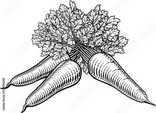 Carrots Vegetable Vintage W...