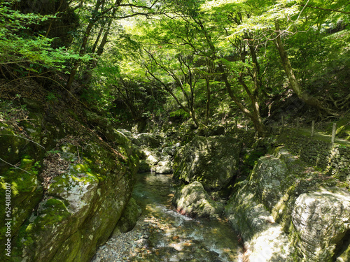 愛媛県砥部町 仙波渓谷の風景