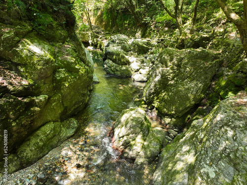 愛媛県砥部町 仙波渓谷の風景