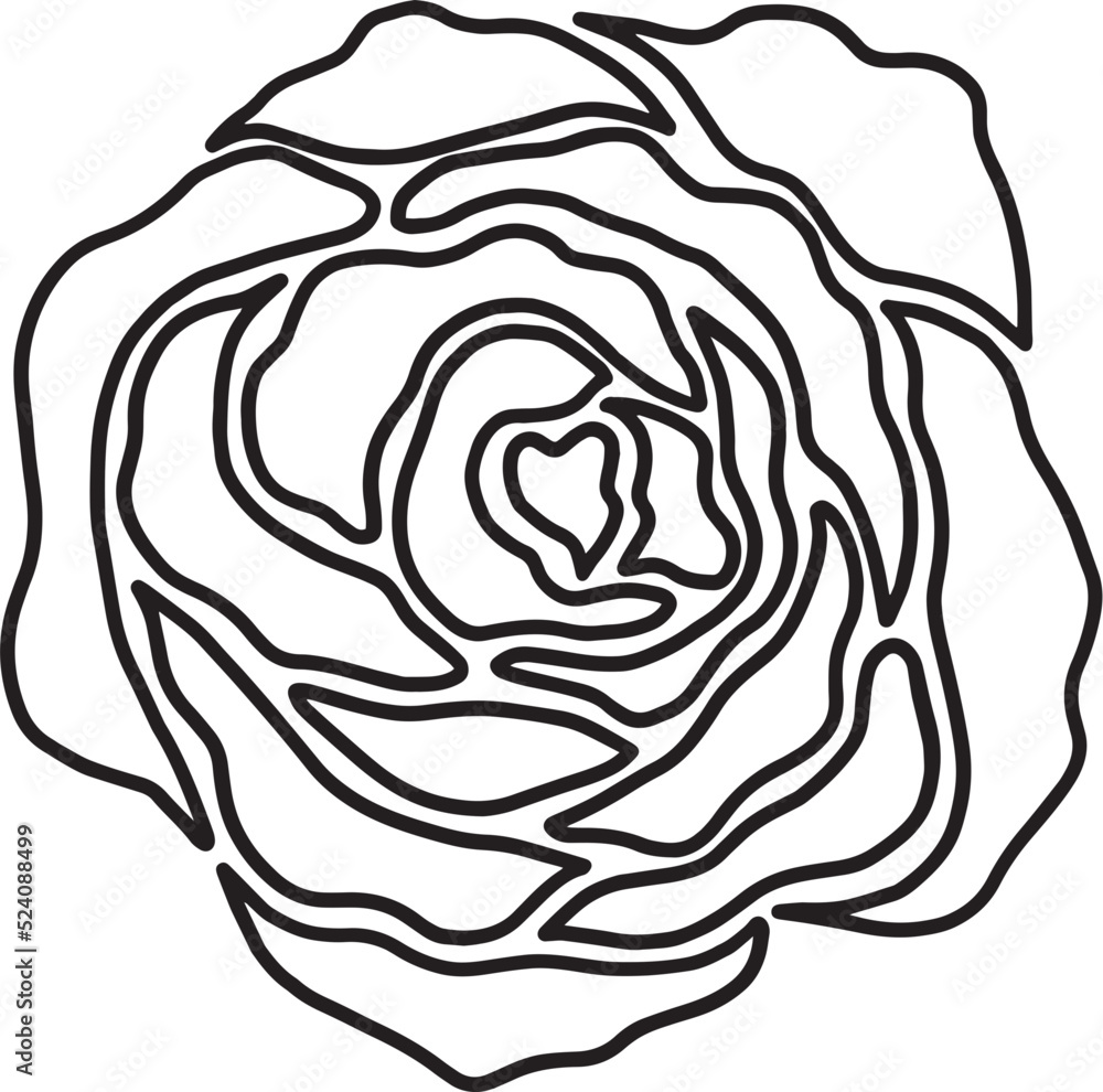 rose flower line drawing rose flower line drawing
