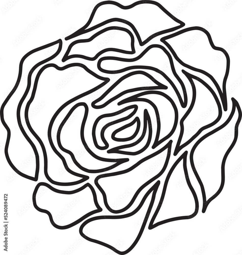rose flower line drawing