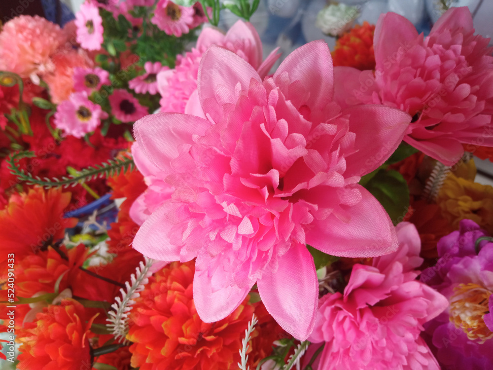 Closeup, Beautiful pink flower blurred floral background for design stock photo, floral blossom blooming, tropical summer Closeup, Beautiful pink flower blurred floral background for design stock photo, floral blossom blooming, tropical summer