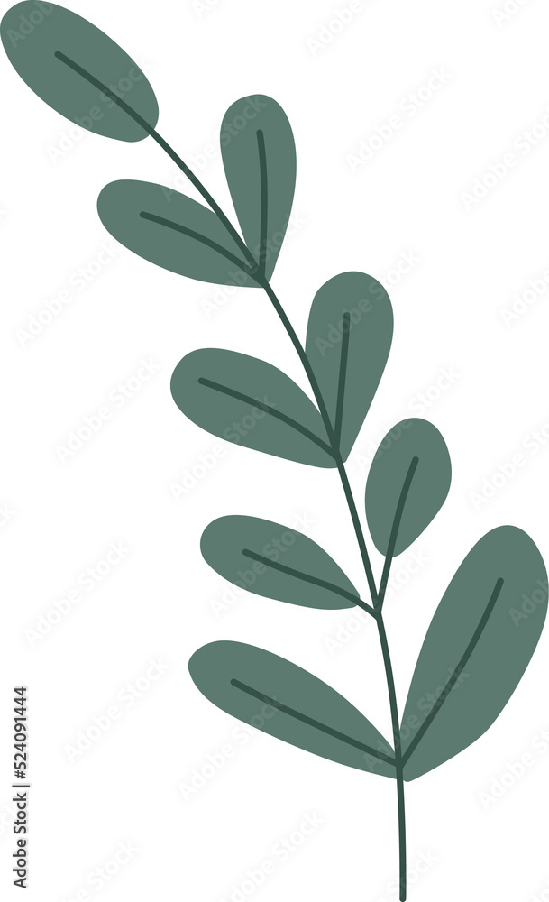 Naklejka premium vector leaves.