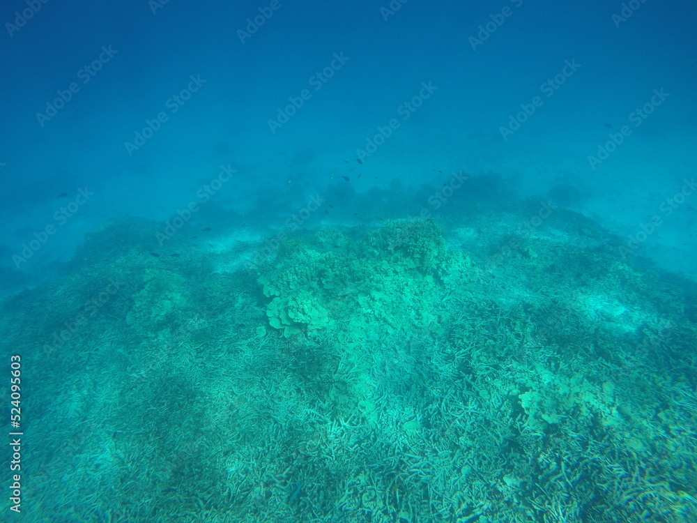 Uninhabited island JEEP island in Chuuk, Micronesia. Here is the world's greatest wreck diving destination.