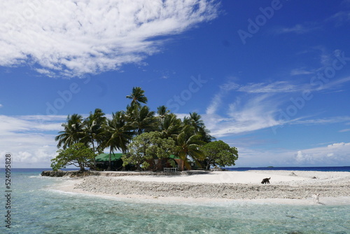 Fototapeta Naklejka Na Ścianę i Meble -  Uninhabited island JEEP island in Chuuk, Micronesia. Here is the world's greatest wreck diving destination.