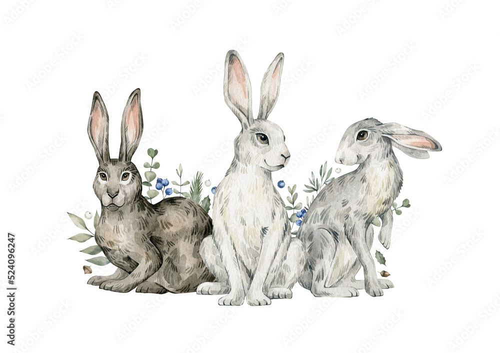 Obraz premium Watercolor cute rabbits, hares, plants. Forest baby animals, berries, pines, leaves. Wild woodland, nature scene. Wildlife creatures