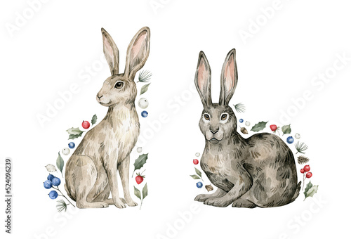Watercolor cute rabbits, hares, plants. Forest baby animals, berries, pines, leaves. Wild woodland, nature scene. Wildlife creatures © Kate K.