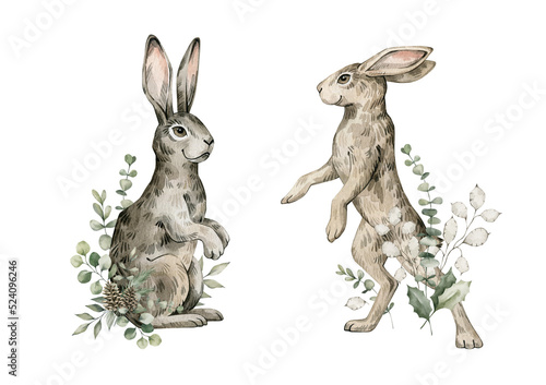 Watercolor cute rabbits, hares, plants. Forest baby animals, berries, pines, leaves. Wild woodland, nature scene. Wildlife creatures
