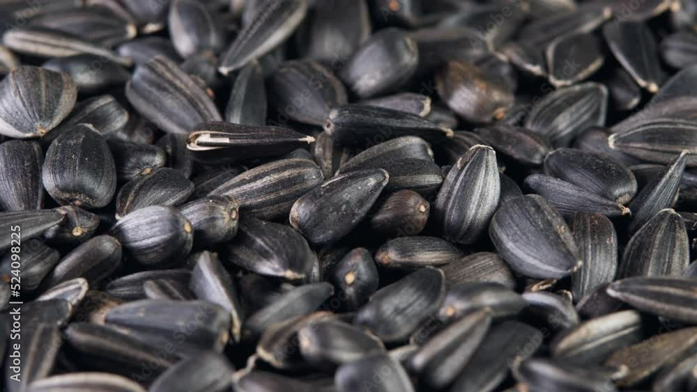 The sunflower seeds on a plate close-up. The sunflower seeds after harvest. Pile of Dried Sunflower Unpeeled Seeds, a Healthy Source of Vitamins in Vegan Food. The sunflower seeds on a plate close-up. The sunflower seeds after harvest. Pile of Dried Sunflower Unpeeled Seeds, a Healthy Source of Vitamins in Vegan Food.