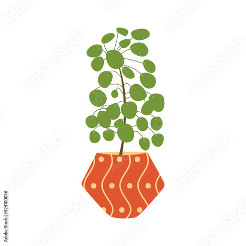 Pilea peperomioides, potted Chinese money plant. Circular green leaf houseplant growing in home flowerpot. Foliage interior decoration. Flat vector illustration isolated on white background