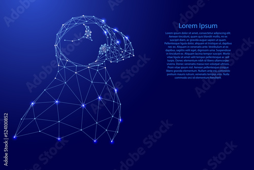 Atlantic bird puffin, fratercula arctica, from futuristic polygonal blue lines and glowing stars for banner, poster, greeting card. Vector illustration.