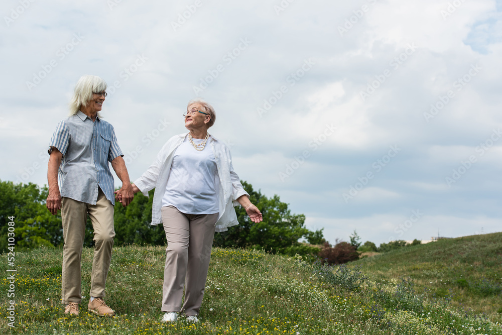 full length of happy senior couple in glasses holding hands and walking on green hill in summer. full length of happy senior couple in glasses holding hands and walking on green hill in summer.