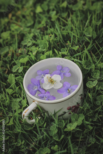 violets floating on a water in cup in grass