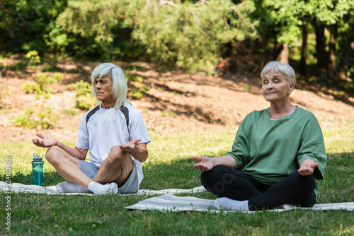 full length of senior couple with grey hair meditating on fitness mats in green park.