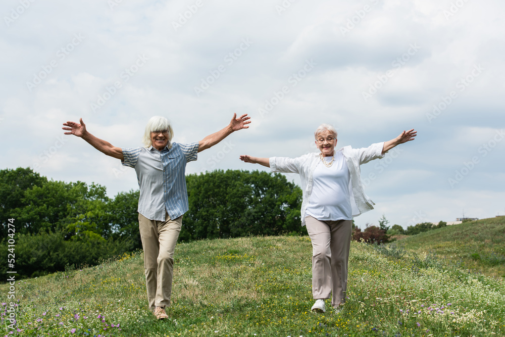 full length of happy senior couple in glasses and shirts walking with outstretched hands on green hill. full length of happy senior couple in glasses and shirts walking with outstretched hands on green hill.